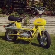 Veteraner Everton Go-Go