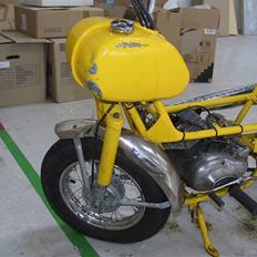 Veteraner Everton Go-Go