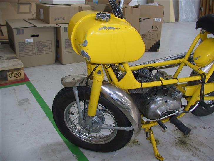 Veteraner Everton Go-Go billede 3