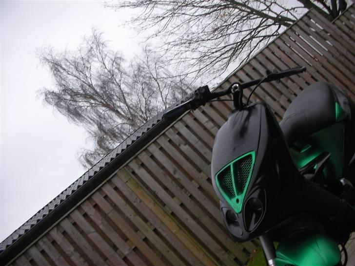 Piaggio PROJEKT--MC3BYTTET billede 6