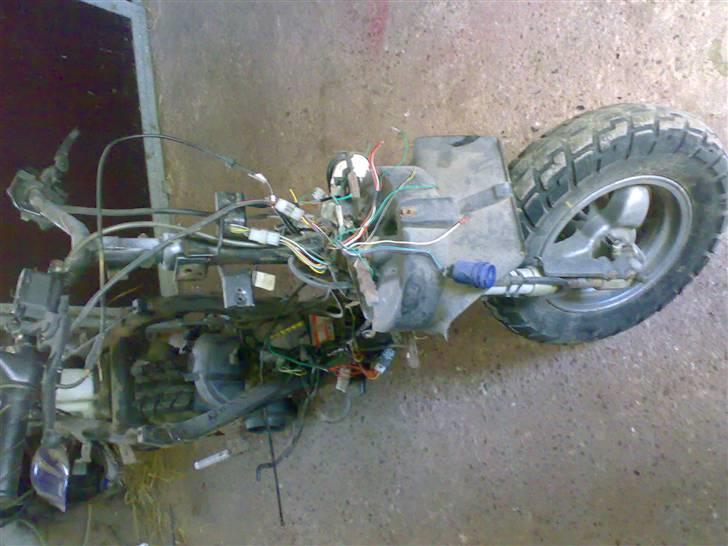 Peugeot Squab (Solgt) - Før ! billede 6