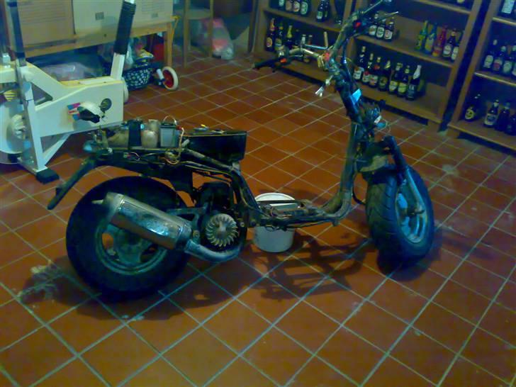 Adly Pista  - solgt - billede 4