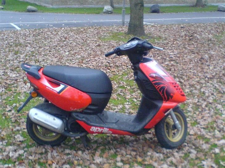 Aprilia Sonic GP (AC) Rød/Sort billede 1