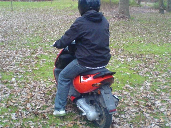Aprilia Sonic GP (AC) Rød/Sort billede 12