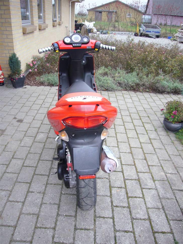 Peugeot Speedfight 2 - 206 WRC billede 8