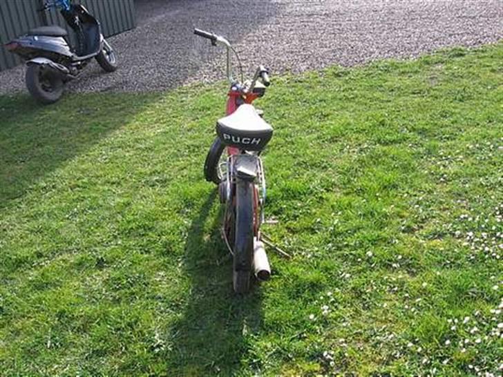 Puch maxi k fælle's spriteren billede 4