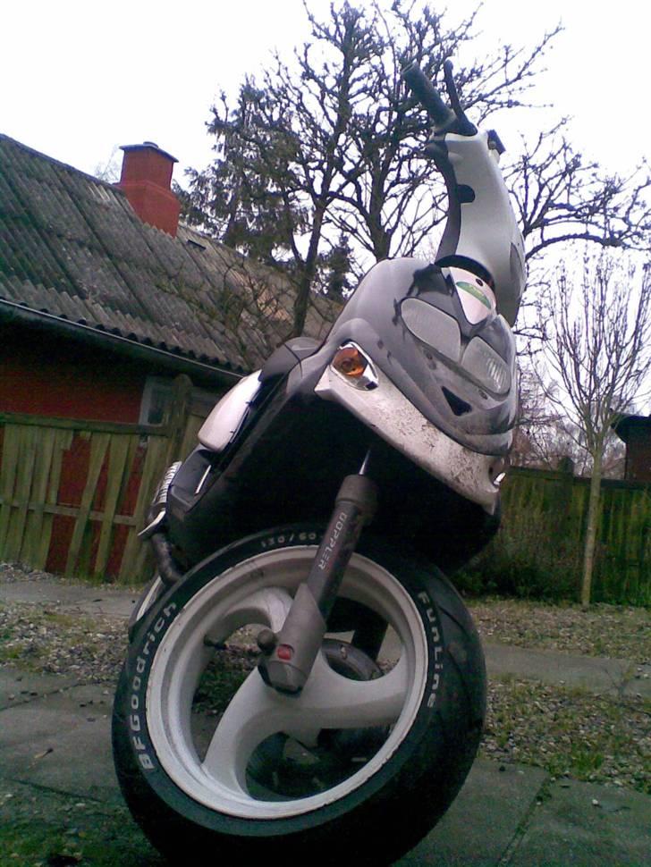 Gilera stalker byttet til jog billede 1