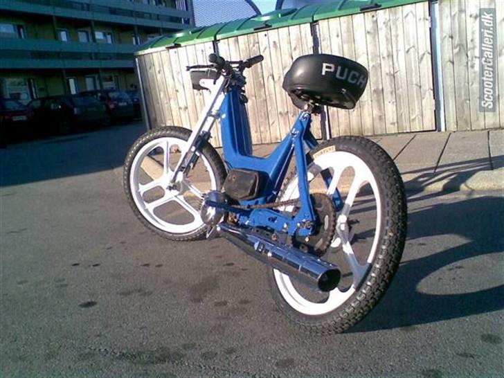 Puch Maxi s ( soglt) billede 1
