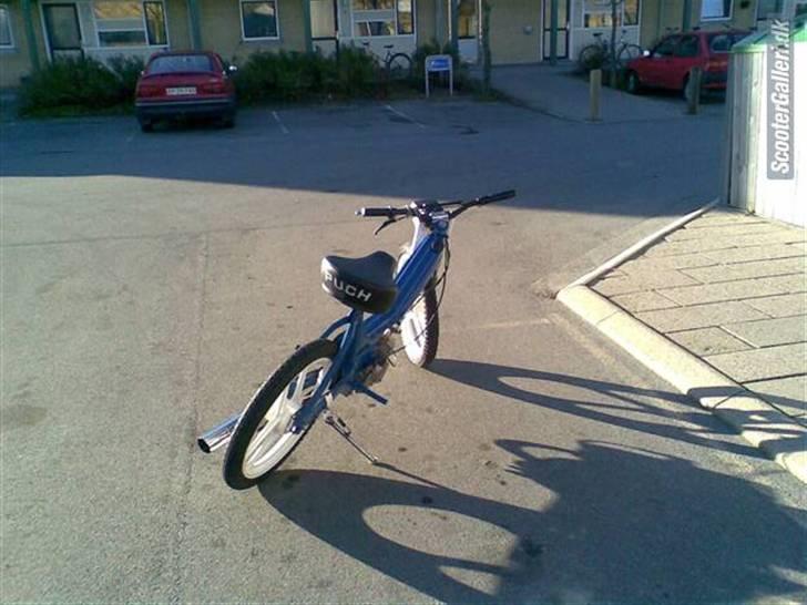Puch Maxi s ( soglt) billede 5