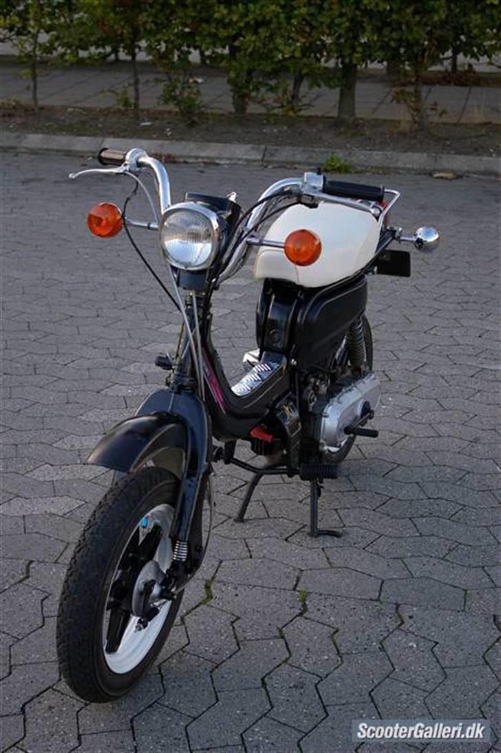 Suzuki fz50 døde billede 1