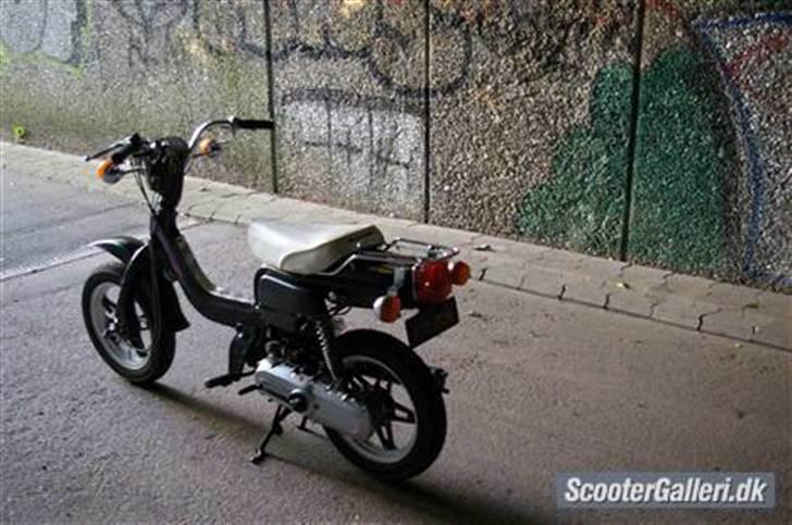 Suzuki fz50 døde billede 2