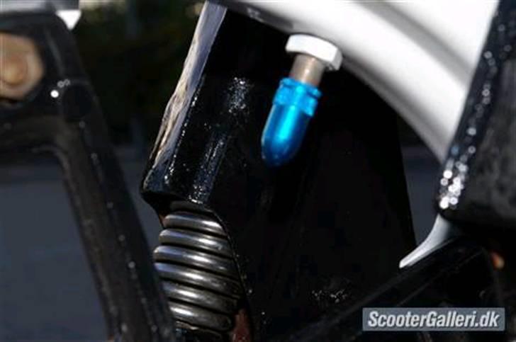 Suzuki fz50 døde billede 5