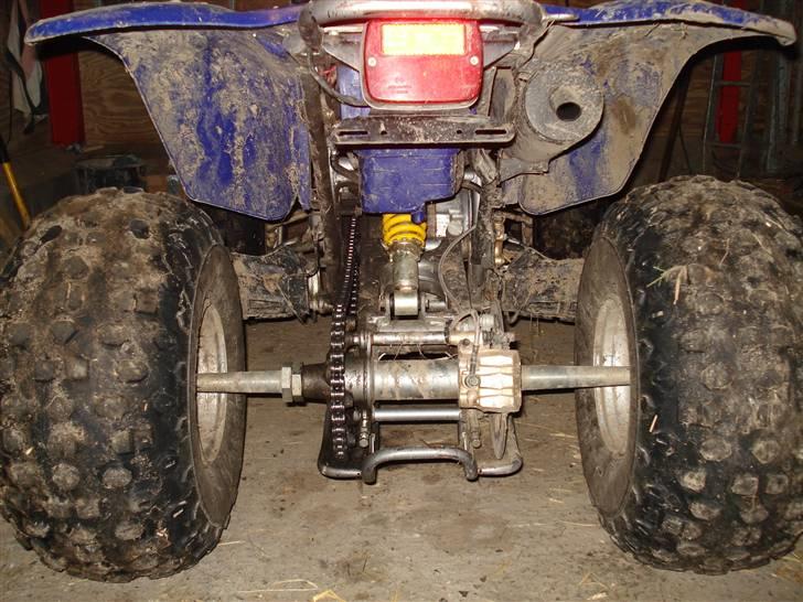 Barossa MAGNA  billede 5