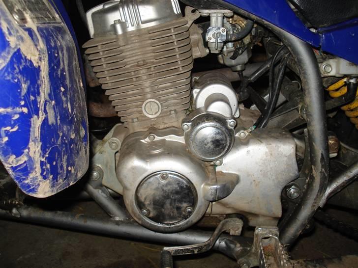 Barossa MAGNA  billede 6