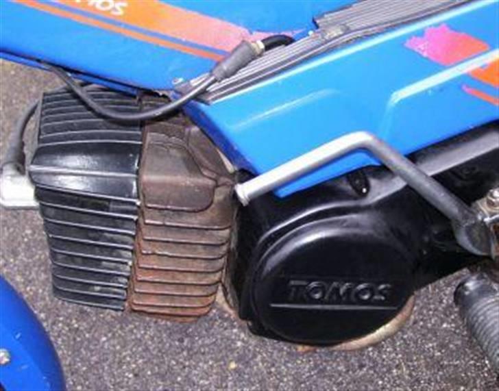Tomos quadro (solgt) billede 6