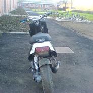 PGO Hot 50, 2002 [Solgt]