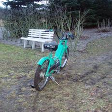 Puch maxi (Solgt)