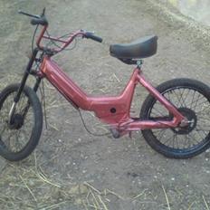 Puch maxi *SOLGT*