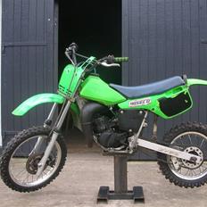 Kawasaki KX 80 (SOLGT)