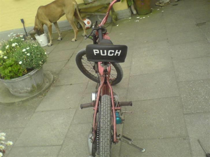 Puch maxi *SOLGT* billede 11