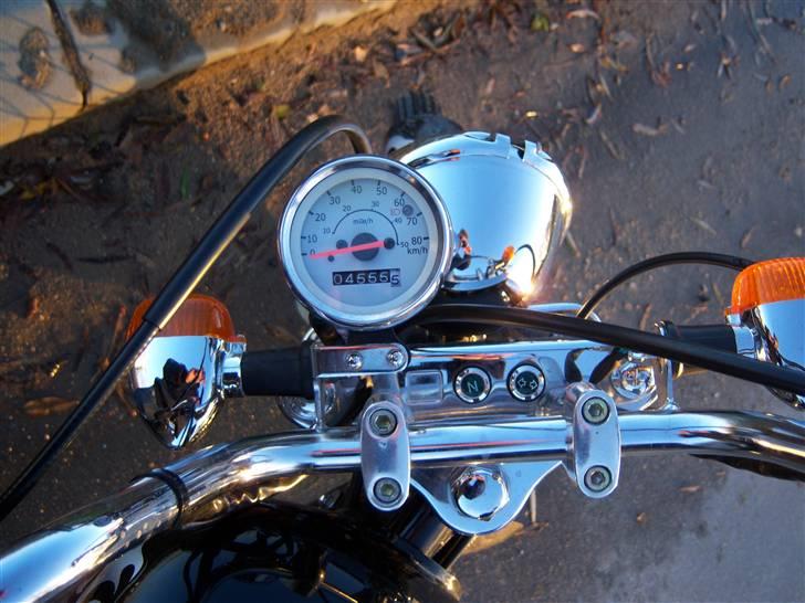 Regal reptor billede 6