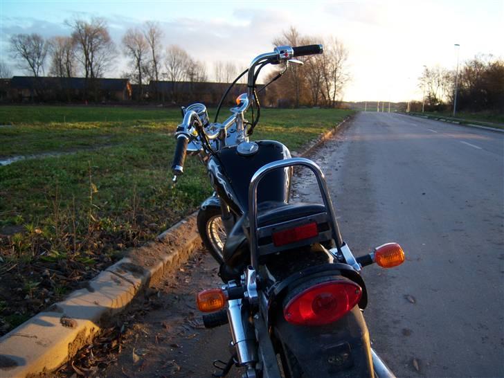 Regal reptor billede 7