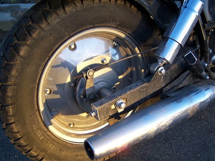 Regal reptor billede 9