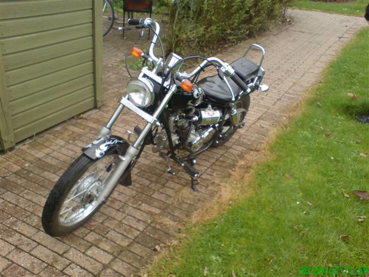 Regal reptor billede 12