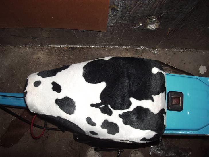 Suzuki FZ50 /Rally Solgt billede 9