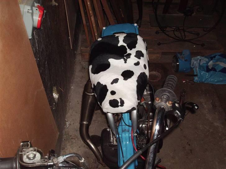 Suzuki FZ50 /Rally Solgt billede 13