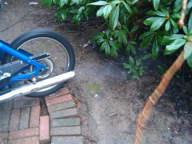 Puch maxi k (SOLGT I DELE) - en bette brænder billede 5