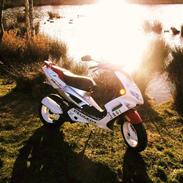 Peugeot Speedfight 2 R-Cup(Maria)