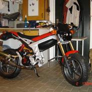 Suzuki street magic