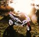 Peugeot Speedfight 2 R-Cup(Maria)