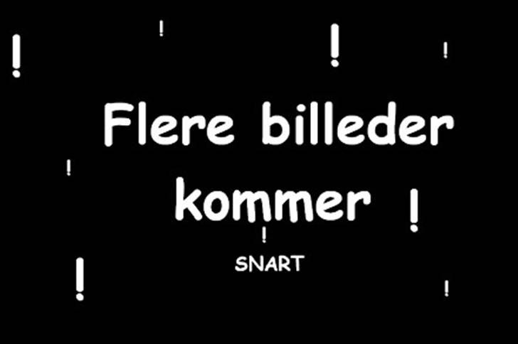 PGO Hot 50 billede 1