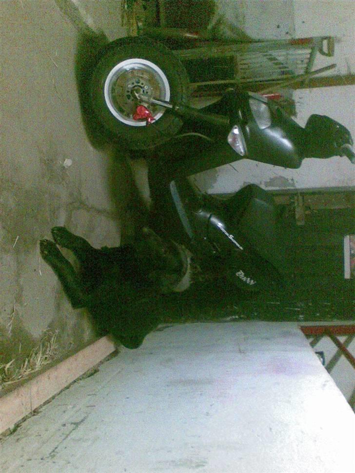 Aprilia Rally TIL SALG billede 14