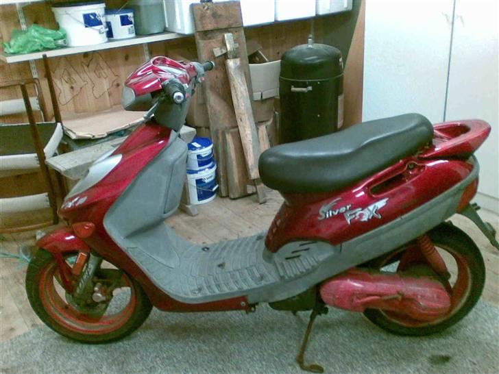 Adly silver fox TIL SALG billede 2