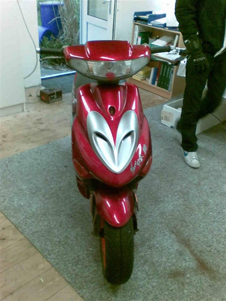 Adly silver fox TIL SALG billede 3