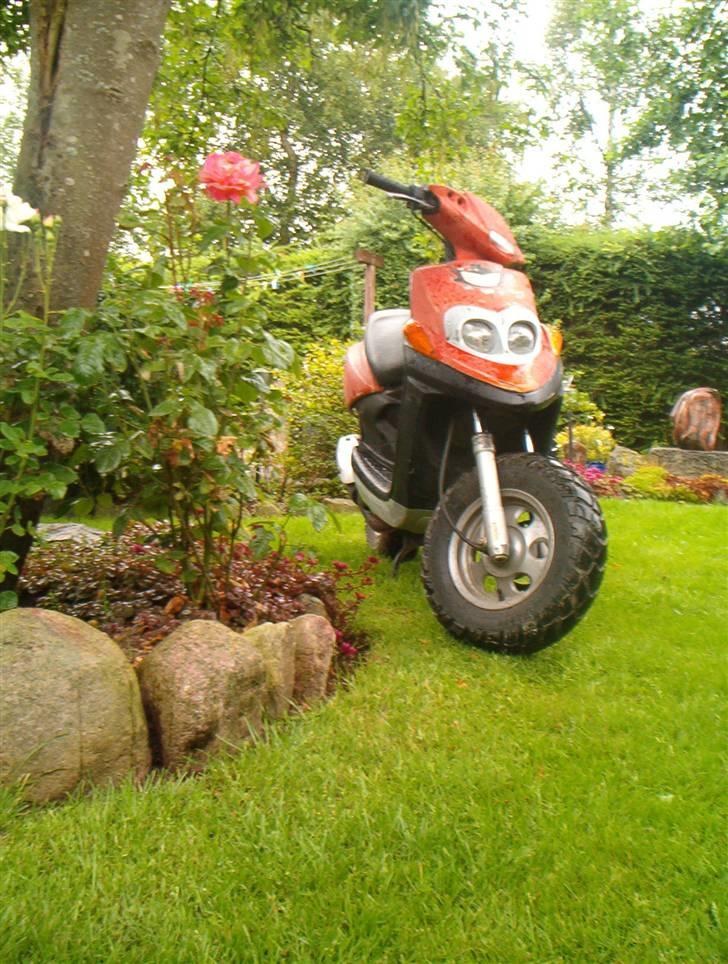 Yamaha Bws NG FØR o0 SOLGT 0o - In the garden :D billede 3