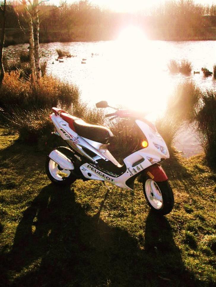 Peugeot Speedfight 2 R-Cup(Maria) - Ja den er sku lækker:) billede 1