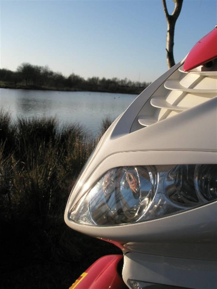 Peugeot Speedfight 2 R-Cup(Maria) billede 2