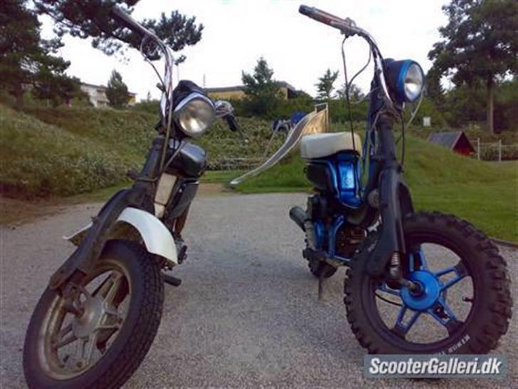 Suzuki Fz50  (Solgt for 1500 )  billede 2