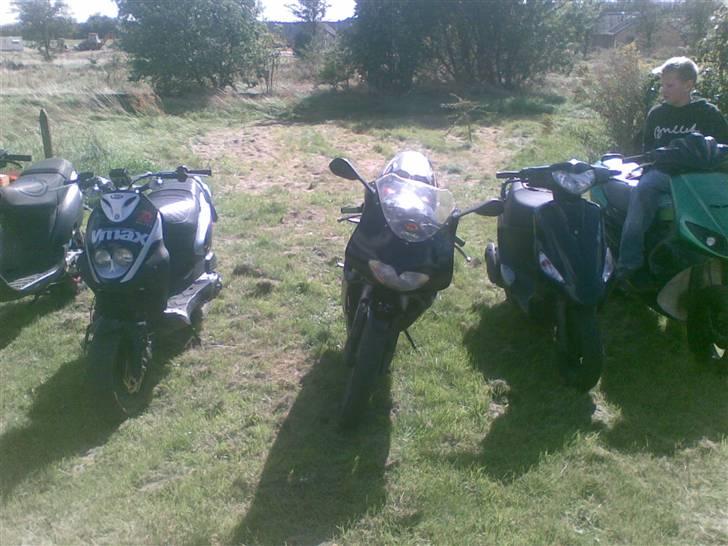 Aprilia rs 50 byttet til sfx billede 4