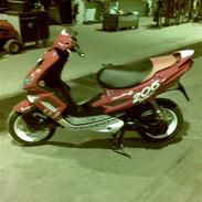 Peugeot speedfight2 206 