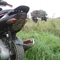 Aprilia Sonic (Byttet)