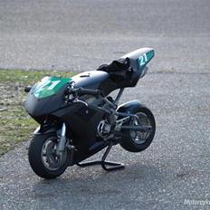 Blata Blata B1 Origami