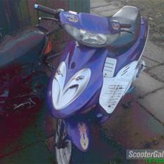 Adly silverfox byttet til jog