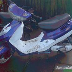 Adly silverfox byttet til jog