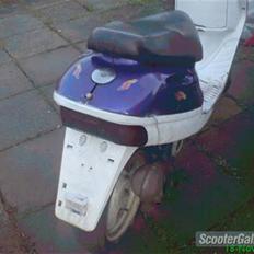 Adly silverfox byttet til jog