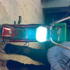 Exactly Foxi *SOLGT*